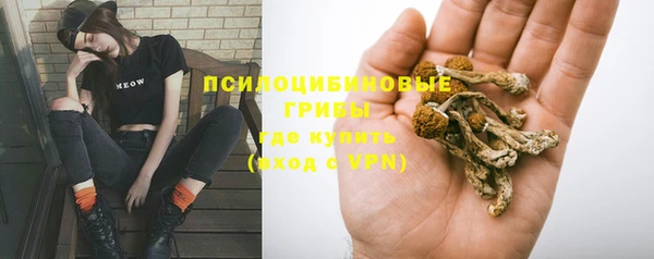 спиды Богданович