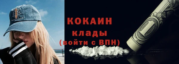 прущие грибы Богородск