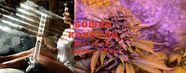 спиды Богданович