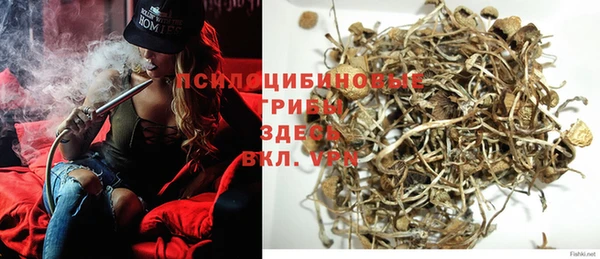 соль курить ск Бородино