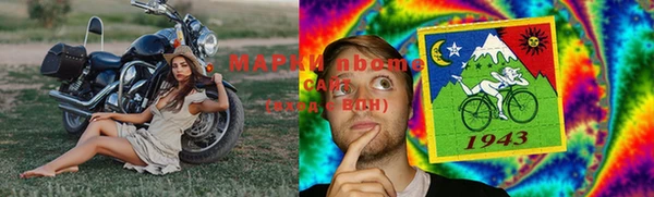 прущие грибы Богородск