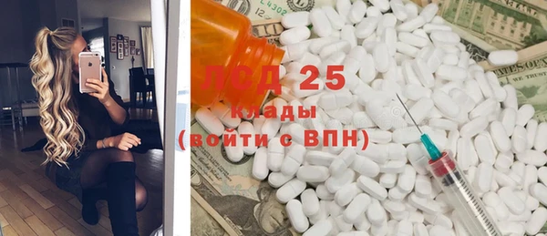 прущие грибы Богородск