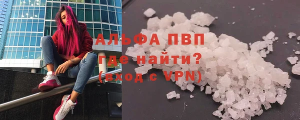 спиды Богданович