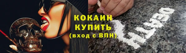 прущие грибы Богородск