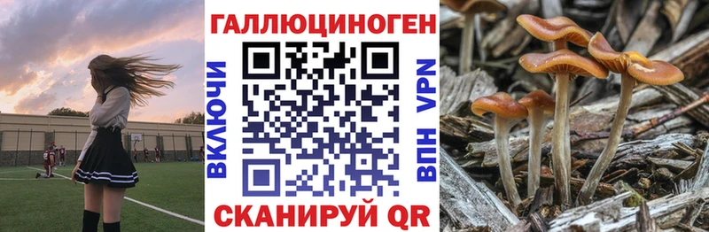KRAKEN сайт  Нерюнгри  Псилоцибиновые грибы Cubensis 
